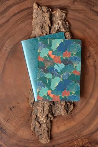 Clairefontaine 115948C - Un Set de 2 Carnets Cousus Fil / Carnet Cuir Uni et Carnet Carte motif Feuille de Ginkgo A5 - 14,8x21 cm 64 Pages Lignées Papier Ivoire 90g - 2 visuels, livr Aléatoire Ginkgo