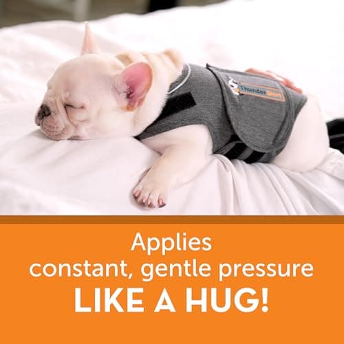 ThunderShirt Gilet relaxant pour Chiens. Rassure lors de situations stressantes. Méthode douce et naturelle. Existe en 5 tailles. Gris.