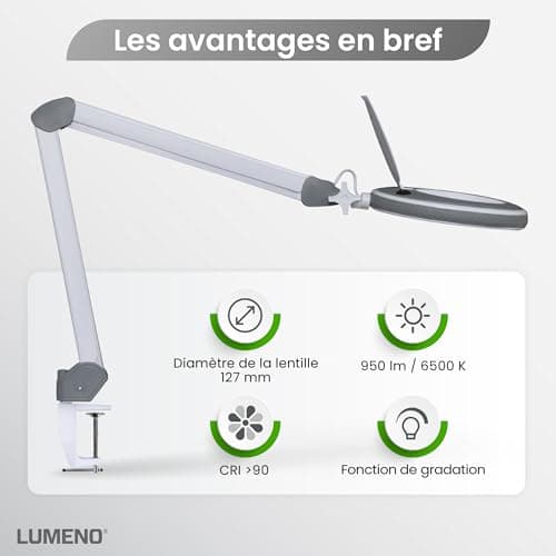 Lumeno 8213GR LED Lampe loupe pour poste de travail, lampe cosmétique, intensité lumineuse réglable, lentille en verre transparent de 127 mm, aide à la lecture/loupe, 3 dioptries