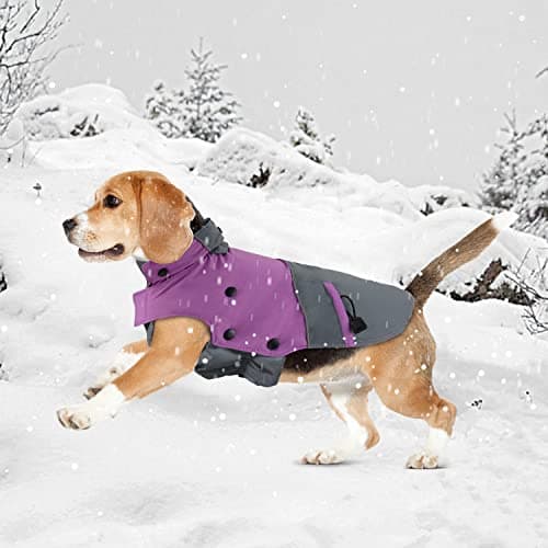 PETLOFT Manteau Chien Hiver, Imperméable Réfléchissant Coupe en Plein Air Polaire Veste Manteau de Pluie pour avec Doublure en Molleton Détachable