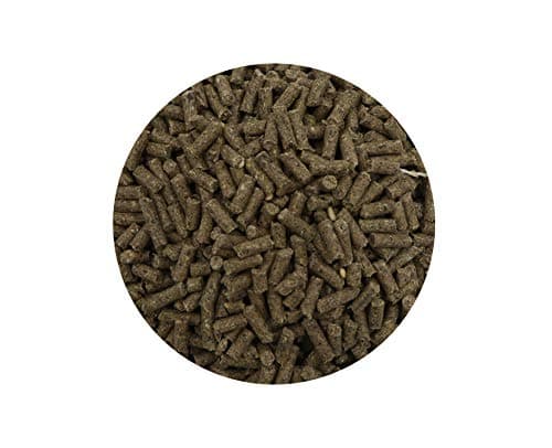 Aimé - Granulés Lapin Nain et Cochon d'Inde 1kg - Repas Complet - Apports Nutritionnels Garantis avec des Granulés Savoureux à Texture Croquante