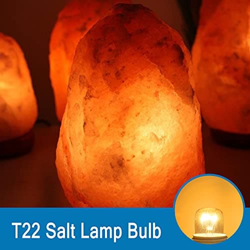 SCNNC Ampoule Four 300 Degres E14 Dimmable, AC220V-240V, Ampoule four E14 T22, 120LM Blanc Chaud 2300K, E14 Petit Culot à Vis Pygmy Lamps pour Micro-ondes, Four, Lampe à sel, 3 Unité