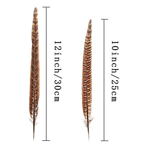 Zeayebsr 1 ensemble de 20 plumes de faisan pour l'artisanat et les décorations de chapeaux montrent les loisirs créatifs (25-30cm)