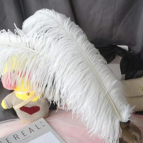 pièces 15-70 cm grandes Plumes d'autruche plumes d'autruche blanches Plumes de Carnaval centres de Table fête accessoires de mariage décoration-25-30 cm petit poteau