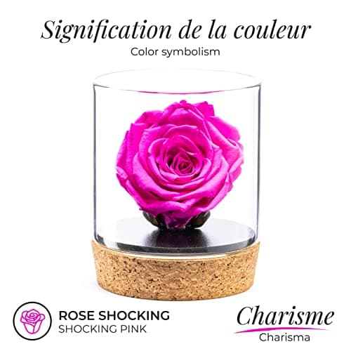 Amoroses Bijou - Rose éternelle stabilisée avec Calice plaqué Or 24K dans Un conteneur en Verre | Idée Cadeau (Rose Rose Shocking)