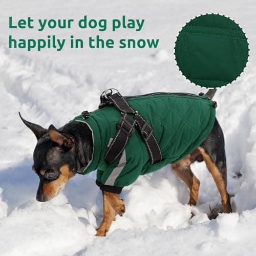 CITÉTOILE Manteau Chaud pour Chien, Veste Coupe-Vent pour Chien par Temps Froid, vêtement d'hiver pour Chien avec Fermetures éclair et Poignets Amples, Verte, XS