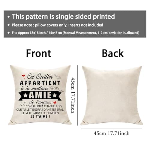 Hasodeo Amie Cadeau Original Housse de Coussin Décoration - Le Meilleure Amie de l'univers Meilleur Amie Cadeau pour Femme Fille Anniversaire Journée de l'Amitié 45 x 45 (Amie)
