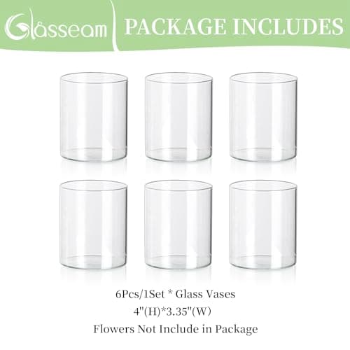 Glasseam Petit Vase en Verre, Vases Cylindriques Transparents pour Fleurs, 10 X 8,5 Cm, Vases à Bourgeons, Lot De 6, Vases à Fleurs Modernes pour La DéCoration, Vases Ouragan DéCoratifs