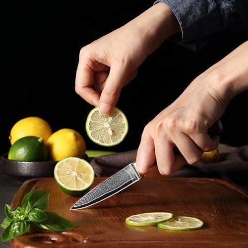 WAKOLI Edib Couteau d'office en Damas I Lame tranchante de 8,5 cm en acier damassé à 67 couches avec noyau VG10 et manche en bois de pakka I Couteau de cuisine professionnel & couteau damassé