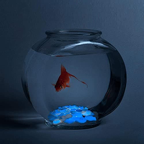 DAZZLEEX Lot de 50 galets phosphorescents pour aquarium Bleu