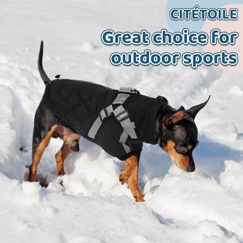 CITÉTOILE Manteau Chaud pour Chien, Veste Coupe-Vent pour Chien par Temps Froid, vêtement d'hiver pour Chien avec Fermetures éclair et Poignets Amples pour Chiens de Petite et Moyenne Taille, S
