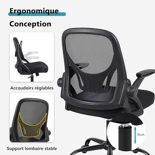 Flysky Chaise de Bureau, Chaise de Bureau Ergonomique, Chaise d'ordinateur réglable en Hauteur avec Support Lombaire et accoudoirs rabattables, Chaise de Direction pivotante, Noir