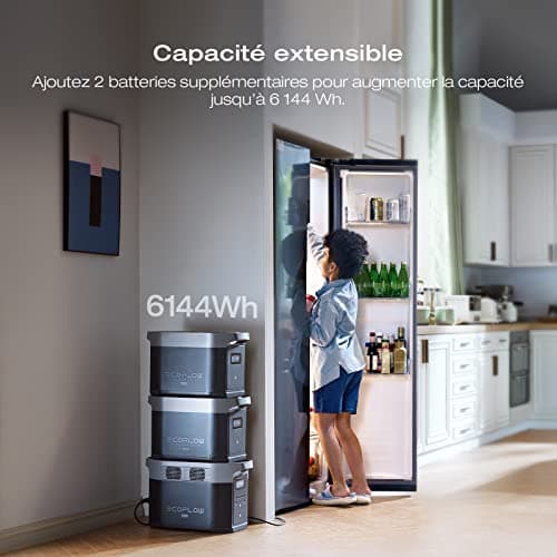 Station électrique portable EcoFlow DELTA 2 Max, capacité 2048Wh, batterie LFP 3 000 cycles, recharge rapide, puissance de sortie 3100 W, générateur solaire silencieux, pour la maison/camping/voyages