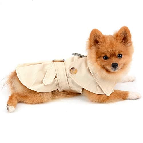 PAIDEFUL Trench pour petits chiens fille garçon coupe-vent mode western veste avec ceinture vêtements d'extérieur automne hiver chien vêtements pour chiot chihuahua yorkie, kaki, taille S
