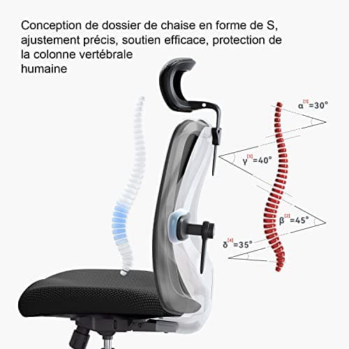 SIHOO Chaise de Bureau, Siege de Bureau Ergonomique avec Support Lombaire et accoudoir réglable, Fauteuil de Bureau d'une capacité maximale de 150 kg