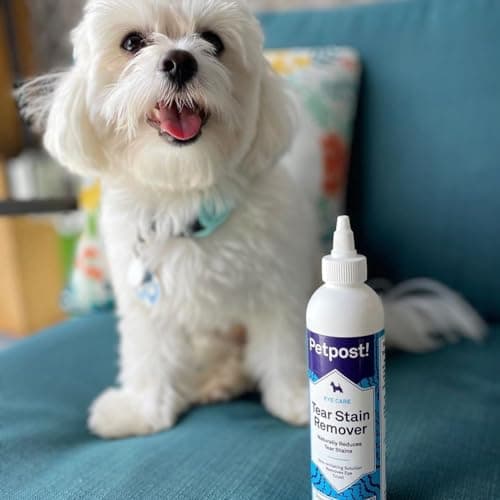 Petpost | Détachant Anti-Larmes pour Chiens - Meilleur Traitement oculaire pour Fourrure Blanche -Parfait pour Les Maltais, Shih Tzu, Chihuahuas - sans Produits Chimiques et Eau de Javel - 8 Oz.