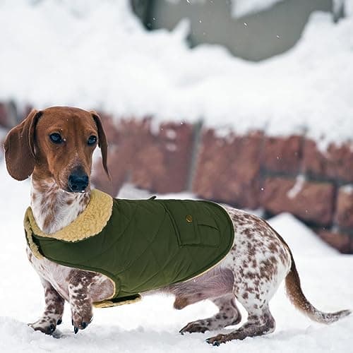 CITÉTOILE Manteau de Chien Coupe - Vent, Manteau Chien Fourré Polaire Epaiss, Manteau Veste d’Hiver Chien Chaud, Vêtement pour Chiens avec Trou de Corde de Traction, Vert, XS