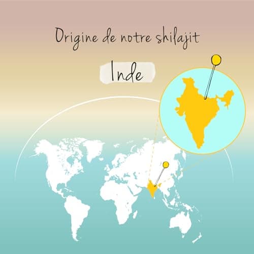 Shilajit Pure 78.000 mg Vegavero® | Extrait 60:1 | 60% Acides Fulviques + 12% Humiques | Résine de l'Himalaya | Energie + Immunité + Antioxydant | 90 Gélules | VEGAN & Sans Additifs