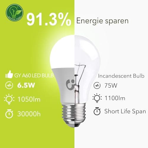 GY Ampoule LED E27 6.5W (équivalent 75W), 6500K Blanc Froid 1050 lumens, A60 Ampoules E27 LED Efficacité Energétique, Dépolie, Non-Dimmable, 6 Unité (Lot de 1)