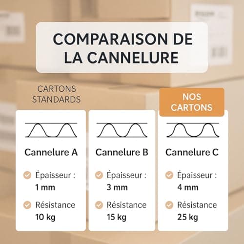 Lot 20 Cartons de Déménagement - Fabricant Français - Résistance Extrême 25 kg - Grosse Épaisseur avec Poignées Renforcées - Réutilisable - 50 x 30 x 30 cm - LPVS