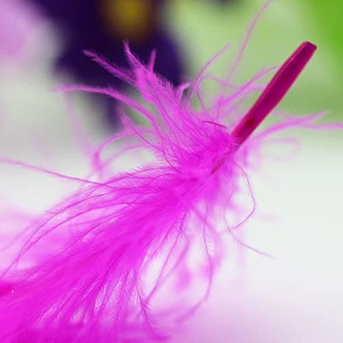 Plumes Couleur,300 PCS Plume Loisirs Creatifs Naturelles Décorations Plumes pour Bricolage Capteurs de Rêves Chapeaux Costume Fête à la Maison Décorations Mariage 8-12CM
