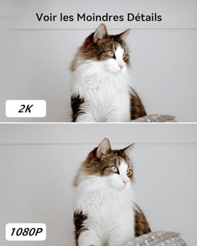 Imou 2K(3MP) Caméra Surveillance WiFi Intérieure Caméra 360° Connectée Smartphone avec Détection Humaine AI Suivi Intelligent Sirène Audio Bidirectionnel Compatible Alexa pour Bébé/Animaux