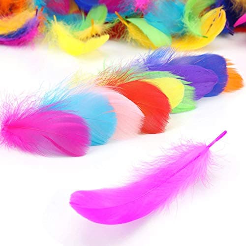Plumes Couleur,300 PCS Plume Loisirs Creatifs Naturelles Décorations Plumes pour Bricolage Capteurs de Rêves Chapeaux Costume Fête à la Maison Décorations Mariage 8-12CM