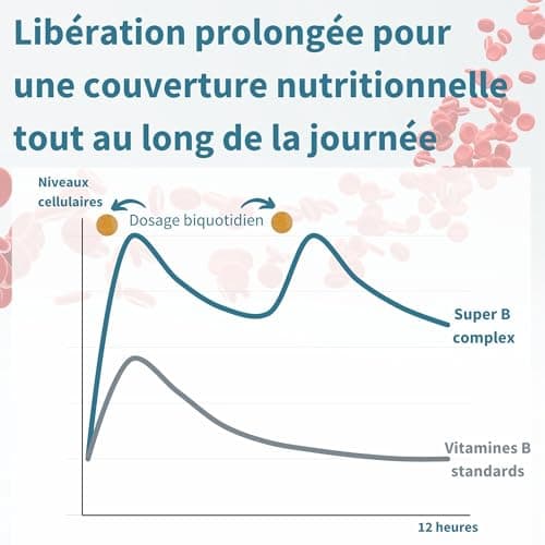 Vitamines du Complexe B Bioactives, 180 Petits Comprimés Végétalien à Haute Absorption avec Folate & Biotine. Énergie et Vitalité, Libération Prolongée