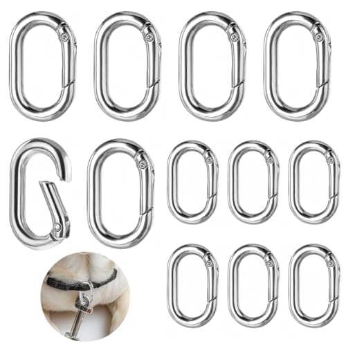 JEYORZY 10 pièces fermoir ovale, mousqueton, fermoirs et fermoirs pour collier, fermoir à anneau à ressort, connecteurs de chaîne, pour Sacs Sacs à Main Porte-clés Sangle (Petit, moyen)
