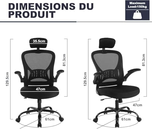 Flysky Chaise de Bureau Ergonomique, Chaise d'ordinateur réglable en Hauteur avec Support Lombaire et Appui-tête, pivotante, Tissu maillé, Noir