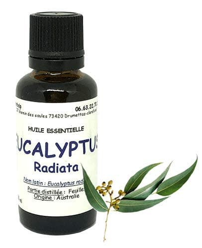 Huile essentielle d'Eucalyptus radiata (10 ml) "Eucalyptus radiata"