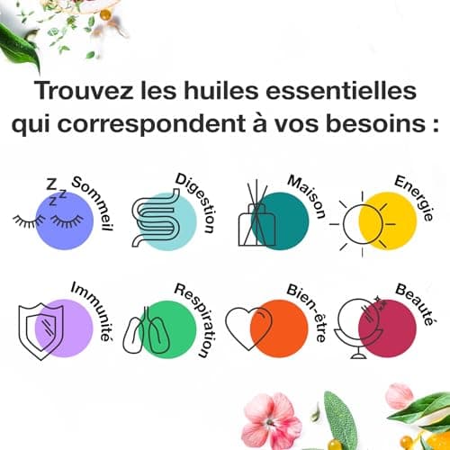 Duo Huile Essentielle de Gaulthérie couchée 10 ml et Huile Végétale Neutre de Fleurs d'Arnica 100ml - 100% Pure et Naturelle - HEBBD - Application par Voie Cutanée - Parfum Stimulant - VOSHUILES