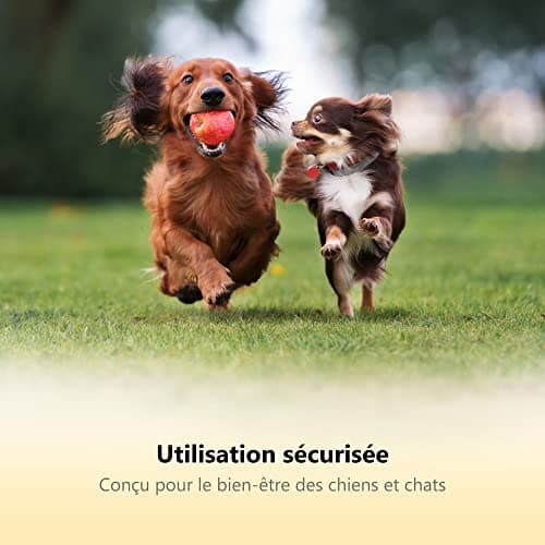 Thunderpaws Coupe-griffes professionnel pour chien avec dispositif de protection, fermeture de sécurité et lime-griffes - Convient pour les races de chiens de taille moyenne et grande