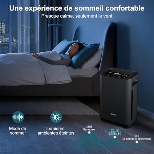 ISSELEC 2 en 1 purificateur d'air et humidificateur H13 filtre à air haute efficacité ioniseur taille de pièce jusqu'à 40m2, Filtre 99,97% des poils d'animaux domestiques/pollen/fumée/odeur