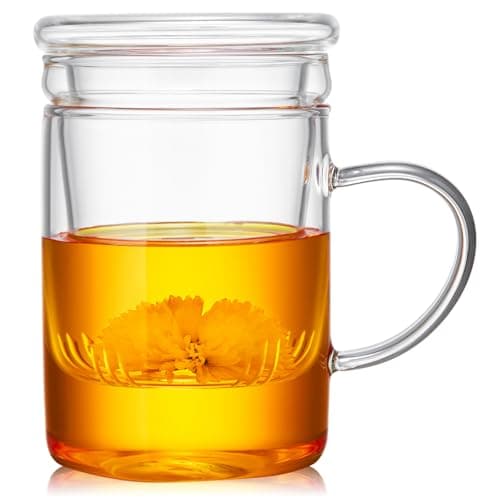 MEISINNI Tasse à Thé en Verre avec Infuseur et Couvercle, 480 ml Tasse à Thé avec Infuseur, Mug Transparent, Tasse en Verre, Cup pour Thé en Fleurs et en Vrac, Compatible avec Cuisinière à Gaz
