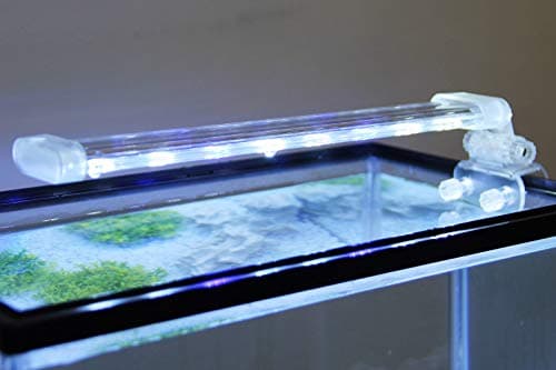BPS Lampe d'aquarium LED Submersible pour Plantes, Lumière Blanche et Bleue 12w 400 x 40 mm