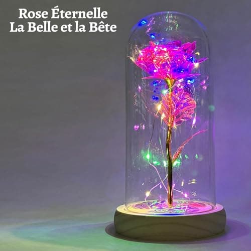 Rose Eternelle Lumineuse | Cadeau Romantique pour Femme | Fleur Artificielle Belle et la Bête | avec LED et Cloche en Verre | Coffret Inclus | Cadeaux St Valentin, Fête des Mères | OriginalCorner®