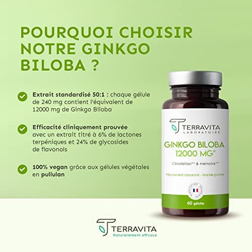 GINKGO BILOBA 12000 mg | Extrait 50:1 Hautement Dosé 6000 mg par Gélule | Booster Mémoire - Concentration - Acouphènes - Circulation Sanguine | 60 Gélules Vegan | Made in France | Terravita