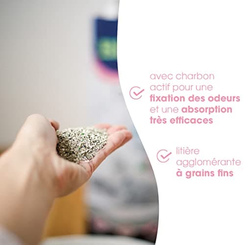 Biokat’s Diamond Care Fresh au parfum de talc - Litière fine pour chats au charbon actif et à l’Aloe vera - 1 sac (1 à 10 l)