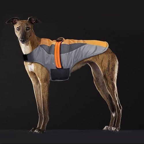 Manteau d'hiver Chien,Veste Chaude et Coupe-Vent Chien,Veste de Ski Chien Lumière LED,Gilet d'hiver Chien à Taille Ajustable,Convient Petit Moyen Grand Chiens (XL)