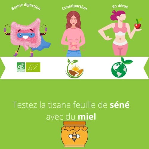 Élitea Feuille de Séné cassia Naturel en Tisane Infusion Stimulation du Transit Intestinal Nettoyantes 100g Extra fort Detox Drainage Laxatif Diuretique