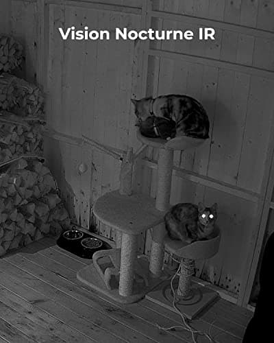 Reolink 4MP Pan Tilt Caméra Surveillance WiFi Interieure, WiFi 2,4GHz/5GHz, Détection de Personne/Animaux & Alertes, Audio Bidirectionnel, Caméra Bébé/Animal, Stockage en Cloud, E1 Pro(Paquet de 2)