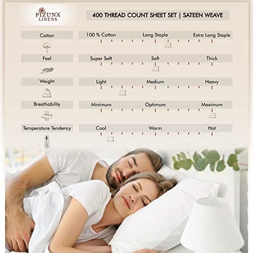 Pizuna Coton Peigné Set de 2 Taies d'oreiller 65x65 cm Sauge, 100% Coton Longue Tige 400 Fils Armure Satin Taies d'oreiller Douces 65x65 en Coton Taies d'oreiller (Sauge 2 Pièces)