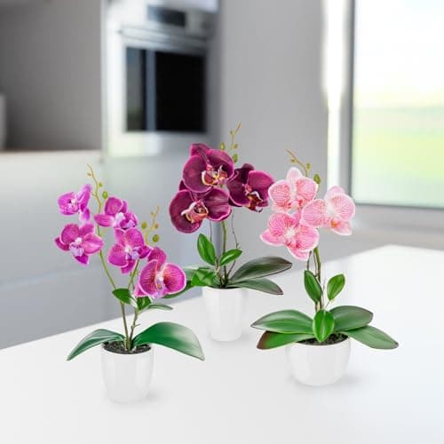 PASCH ® Fleurs artificielles en Pot (35 cm) Lot de 3 orchidées, Arrangement artificiellement coordonné dans des Pots en céramique Brillante, Fleurs décoratives orchidées artificielles (Violet-Rose)