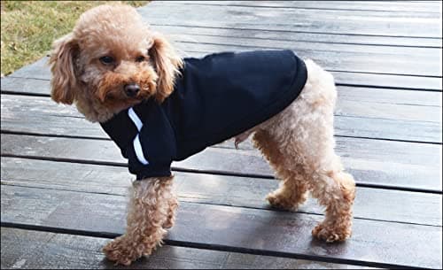Ducomi Sweat à Capuche pour Chien 100% Coton - Manteau pour Petit, Moyen et Grand Chiens, Chihuahua, Bouledogue Français, Labrador, Pitbull et Amstaff, Pull Confortable (Noir, 2XL)