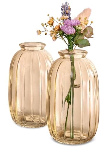 Praknu 6 Petits Vases en Verre Or – Soliflore Vintage – Vase Déco Table