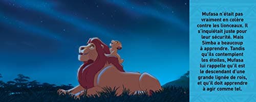 DISNEY Le Roi Lion