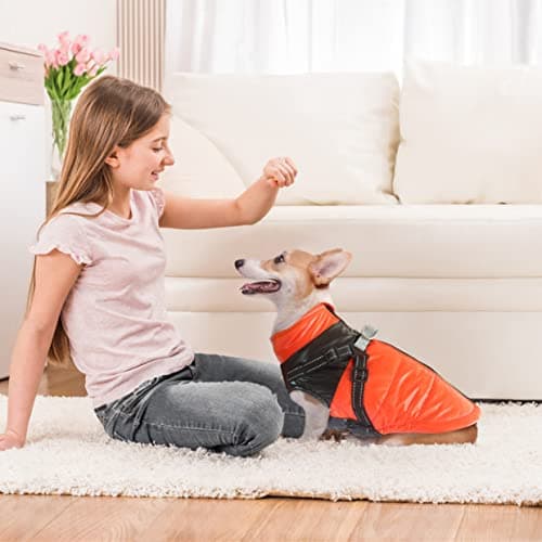 Oslueidy Manteau de Chien d'hiver, vêtements pour Animaux de Compagnie imperméables Veste de Chien Chaude Veste de Chien imperméable Sweat à Capuchon pour Animaux de Compagnie