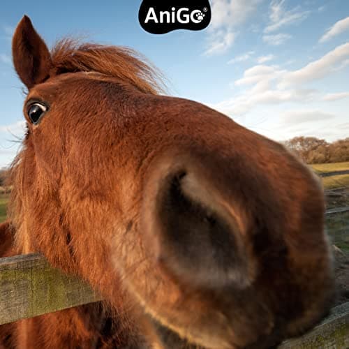 AniGo Griffe du diable pour chiens, chats et chevaux 1 kg – Poudre de griffes du diable, racine de griffe du diable, poudre articulaire, pour soutenir les articulations agiles et la mobilité