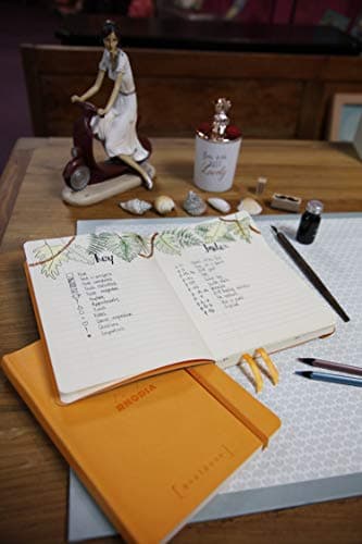 RHODIA 117773C - Carnet Souple Bullet Journal Goalbook Coquelicot - A5 14,8 x 21 cm - Petits Carreaux - 240 pages - Papier Clairefontaine Ivoire 90 g/m - 2 Rubans - Couverture Simili Cuir